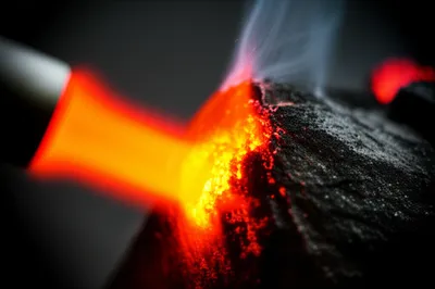 Illustration calcine - Image 1