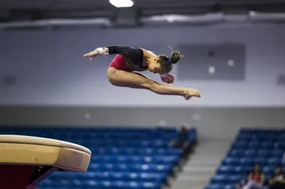 Illustration vaults - Image 1