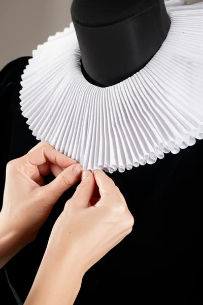 Illustration ruffed - Image 1