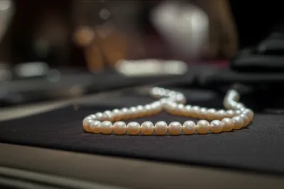 Illustration elegance - Image 1