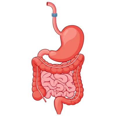 Illustration tracts - Image 1