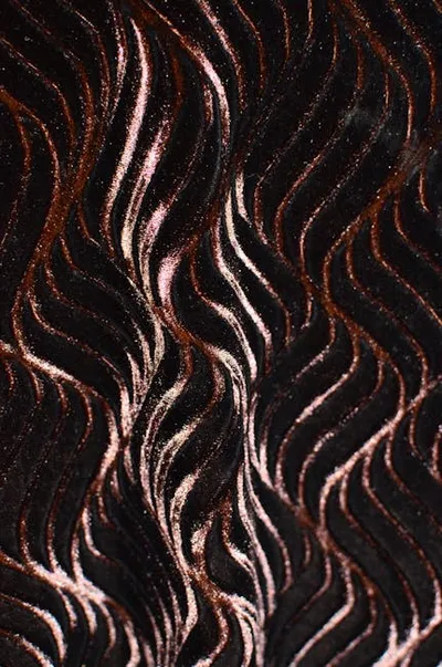 Illustration wiggles - Image 2