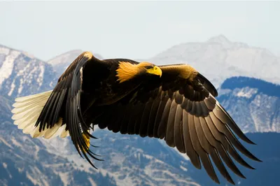 Illustration sublime - Image 1