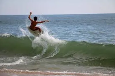 Illustration skim - Image 3