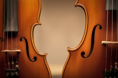 Illustration duet - Image 1