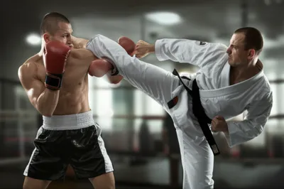 Illustration fighters - Image 1