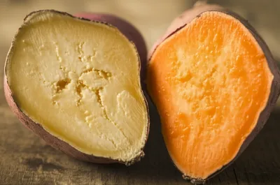 Illustration boniato