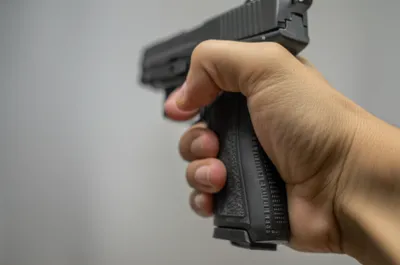 Illustration gunstock - Image 1