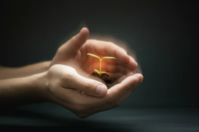 Illustration enfolding - Image 1