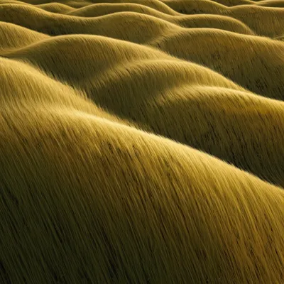 Illustration undulates - Image 1