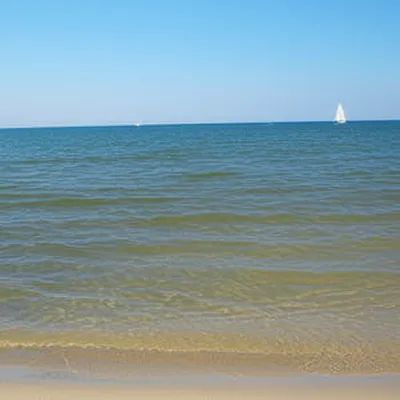 Illustration shallows - Image 1