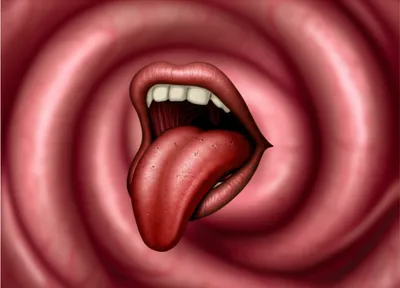 Illustration jib - Image 1