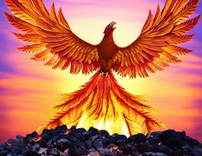 Illustration recharged - Image 1