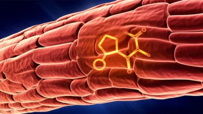 Illustration adenosine