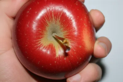 Illustration wrinkling