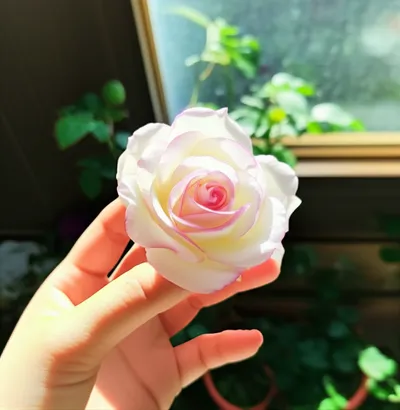 Illustration reddens - Image 1