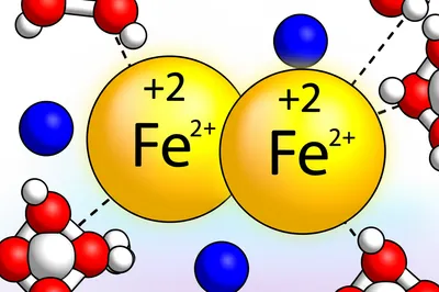 Illustration ferrous - Image 1