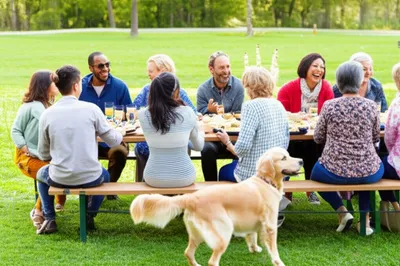 Illustration friendliest - Image 1