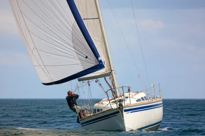 Illustration spilt - Image 1