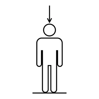 Illustration height - Image 1