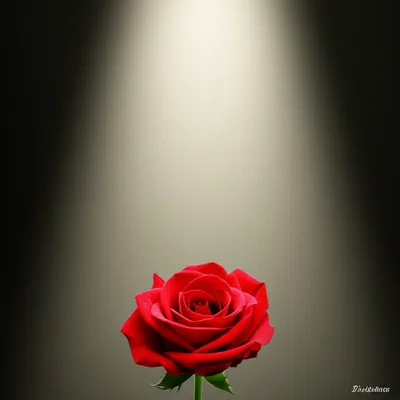 Illustration convergent - Image 1