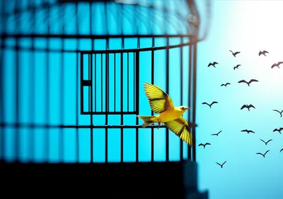 Illustration enlarging - Image 1