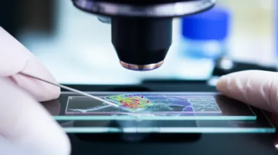 Illustration subbed - Image 1