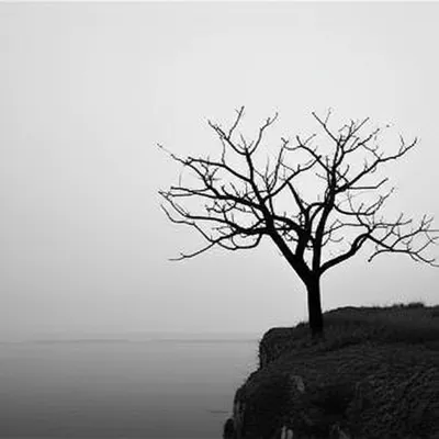 Illustration terminated - Image 1