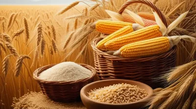 Illustration victuals - Image 1