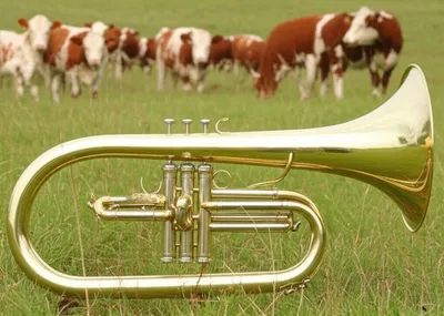 Illustration lures - Image 1