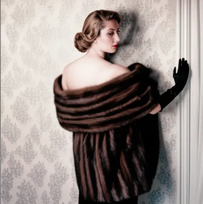 Illustration stole - Image 1