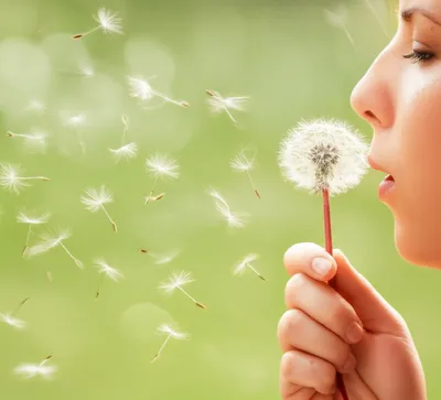 Illustration aspirate - Image 1