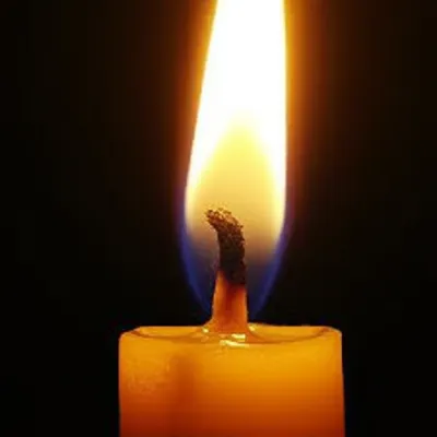 Hình ảnh minh họa wick - Ảnh 1