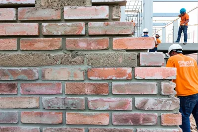 Illustration backfills - Image 1