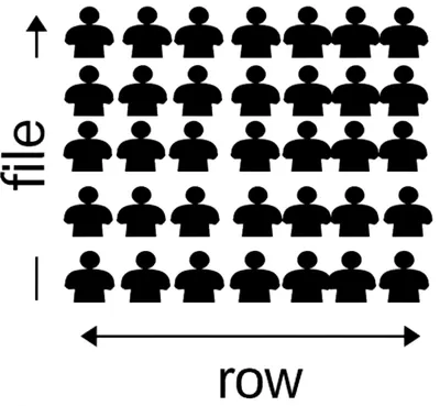 Illustration rank - Image 1