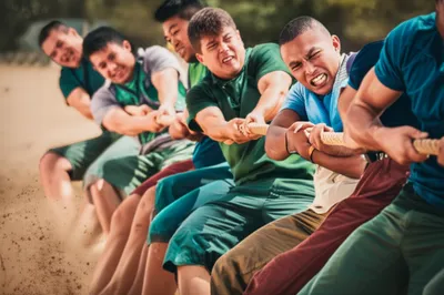 Illustration pulls - Image 1