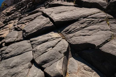 Illustration rough - Image 1