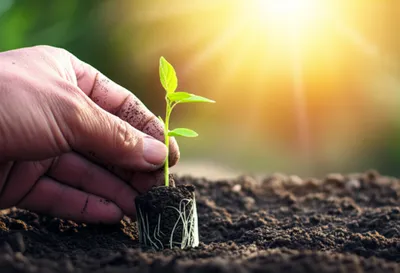 Illustration providing - Image 1