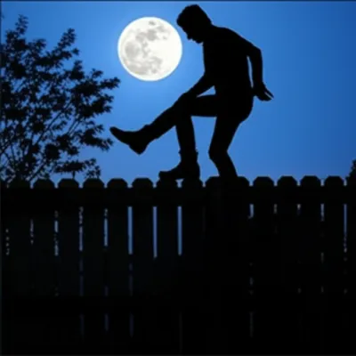 Illustration skipped - Image 1