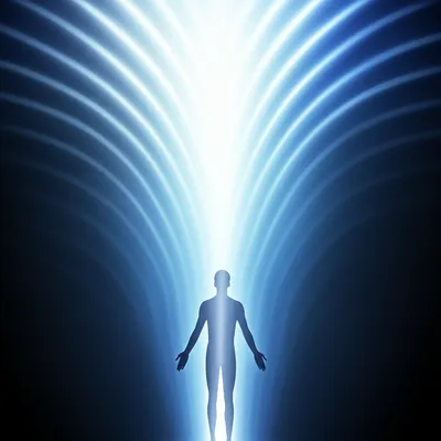 Illustration soar - Image 1