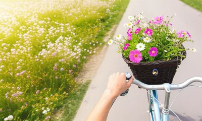 Illustration coasted - Image 1