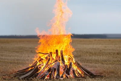 Illustration lighted - Image 1