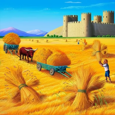 Illustration yields - Image 1