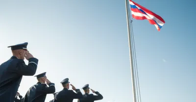 Illustration colors - Image 1