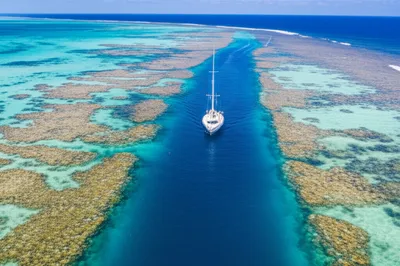 Illustration ch - Image 1