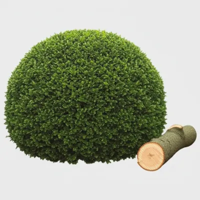 Illustration bushes - Image 1