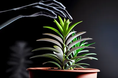 Illustration vampire - Image 1