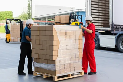 Illustration packs - Image 1