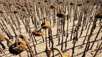 Illustration blasted - Image 1