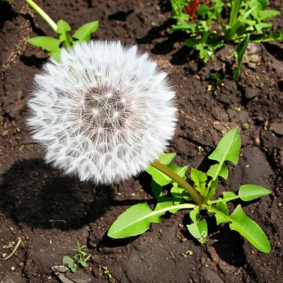 Illustration propagated - Image 1